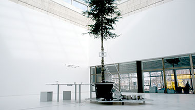 OneTreeID, installation draft © Agnes Meyer-Brandis,VG Bilkunst 2019