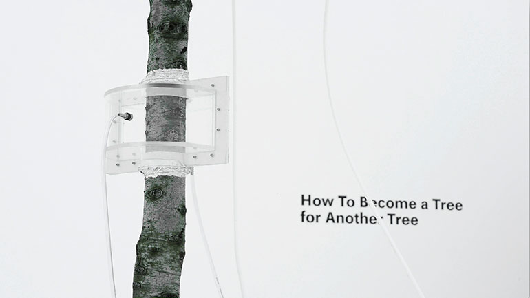 OneTreeID, Measurements,Foto © Agnes Meyer-Brandis,VG Bilkunst 2019