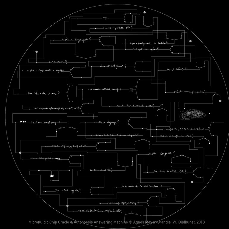 Microfluidic Oracle Chip, microscope view, installation details © Agnes Meyer-Brandis, VG Bildkunst, 2019