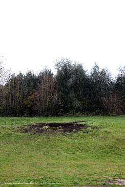 NCCA crater impact