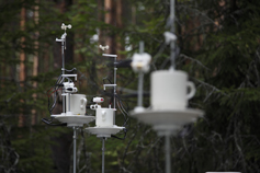 teacup tool station
