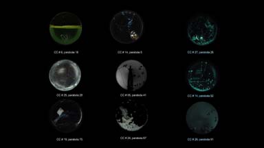 CCS sphere lab